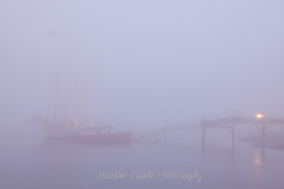 Fog Harbor