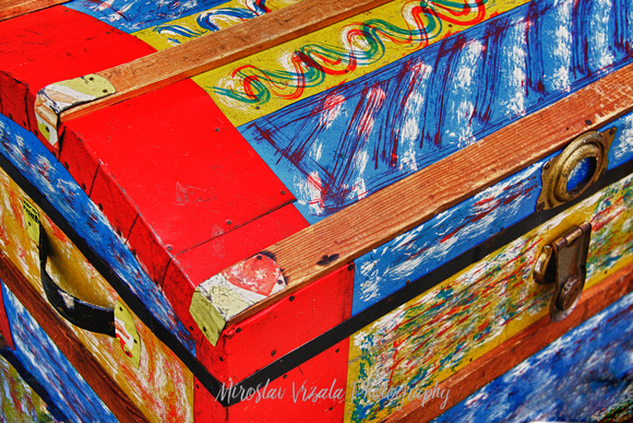 The Painted Trunk