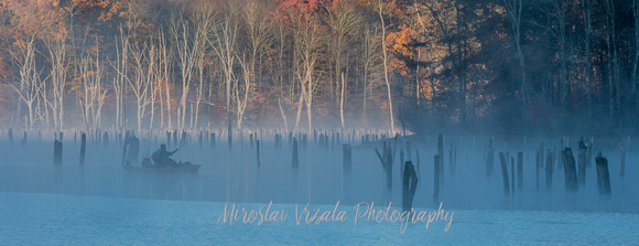 Hidden By The Mist