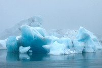 Gathering of Icebergs
