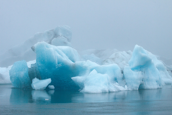 Gathering of Icebergs