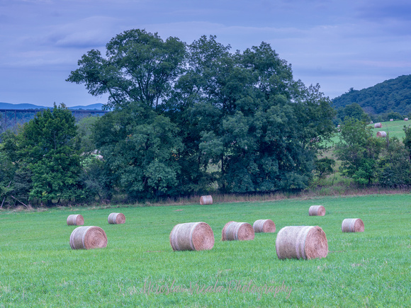 Hay Bales in Early Evening