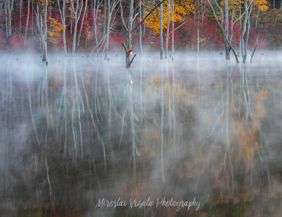 Refections of Autumn