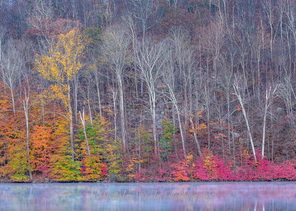 Colors by the Lakeside